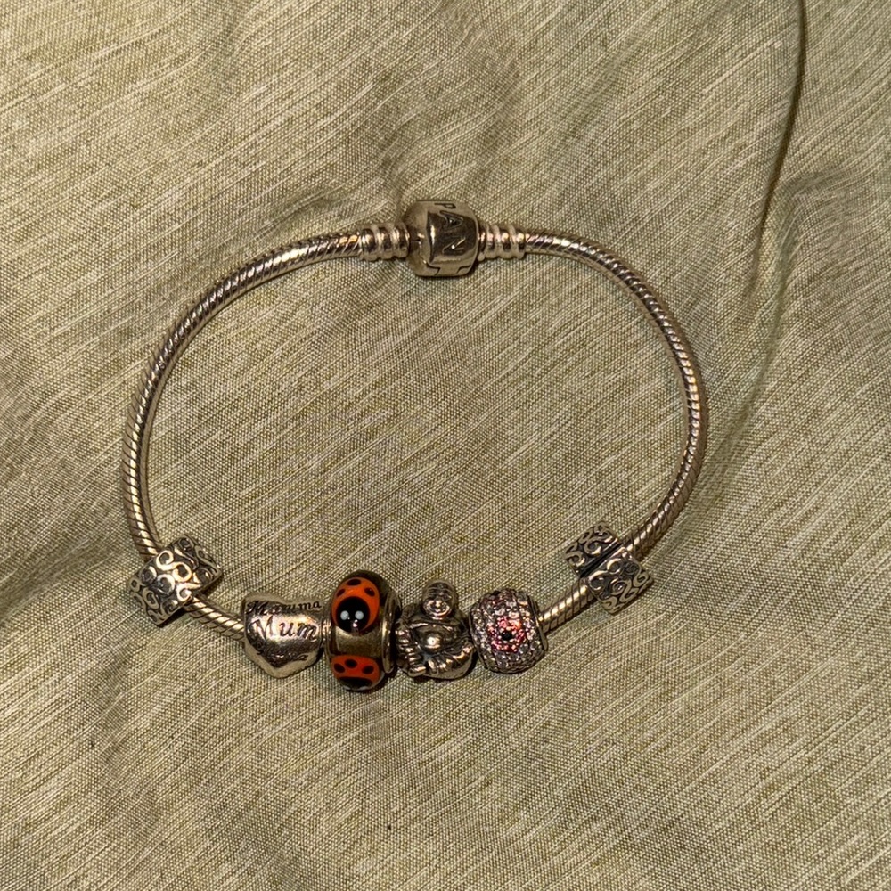 Pandora Charm Bracelet